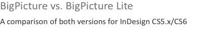 BigPicture vs. BigPicture Lite A comparison of both versions fo